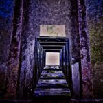 عطر ادکلن لالیک هومیج الهوم وویاژر | Lalique Hommage a l’homme Voyageur - تصویر 4