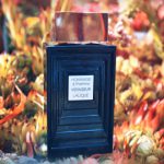 عطر ادکلن لالیک هومیج الهوم وویاژر | Lalique Hommage a l’homme Voyageur - تصویر 3