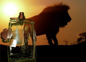 عطر ادکلن لالیک پور هوم -لالیک شیر | Lalique Pour Homme EDP - تصویر 6