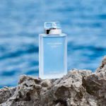 عطر ادکلن دلچه گابانا لایت بلو او اینتنس زنانه | Dolce Gabbana Light Blue Eau Intense - تصویر 3