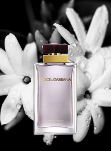 عطر ادکلن دی اند جی دلچه گابانا پور فم | Dolce Gabbana Pour Femme - تصویر 4
