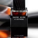عطر ادکلن لالیک انکر نویر ای ال اکستریم | lalique Encre Noire A L Extreme - تصویر 6