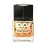 عطر ادکلن ایو سن لورن اسپلندید وود | YSL Splendid Wood